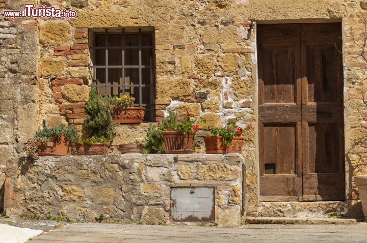 Immagine Particolare di una casa in sasso a Civita di Bagnoregio, Lazio. Nel tortuoso dedalo di vie e viuzze che caratterizzano questo borgo fantasma si possono ammirare abitazioni e case costruite in sasso e impreziosite da fiori e antiche porte in legno. Spesso all'interno di belle dimore si trovano anche graziose botteghe artigiane dove si può assistere ad antichi mestieri   - © alessandro0770 / Shutterstock.com