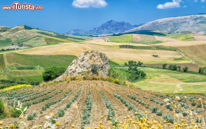 Immagine Paesaggio nei dintorni della cittadina di Corleone in Sicilia - © Rolf_52 / Shutterstock.com