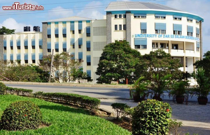 Immagine Università di Dar es Salaam, Tanzania - Uno dei cinque campus dell'Università di Dar es Salaam: fra quelli ospitati in città uno si trova nel quartiere di Mlimani © EQRoy / Shutterstock.com