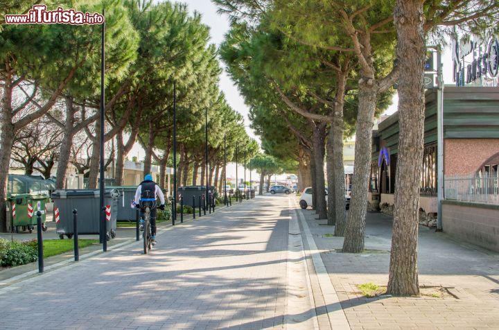 Immagine Viale alberato a Lido delle Nazioni, una delle spiagge più note della zona di Comacchio - © Luca Lorenzelli / Shutterstock.com