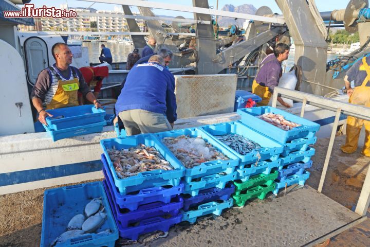 Immagine Pescatori vendono il pesce al porto di La Vila Joiosa, Spagna. Una visita all'area portuale permette di osservare l'animata vendita all'asta del pescato e dei frutti di mare raccolti in giornata.  - © Ana del Castillo / Shutterstock.com