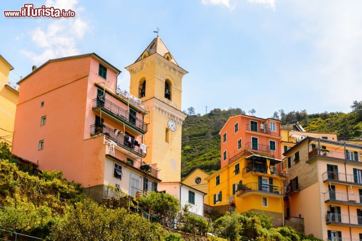 Immagine Le case di Manarola, Cinque Terre, Liguria. Sono slanciate e con colori tenui le abitazioni di questo borgo in provincia di La Spezia.