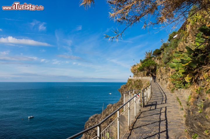 Immagine Vista sul mare e sulla vegetazione dalla suggestiva passeggiata di Manarola, Cinque Terre, Liguria.