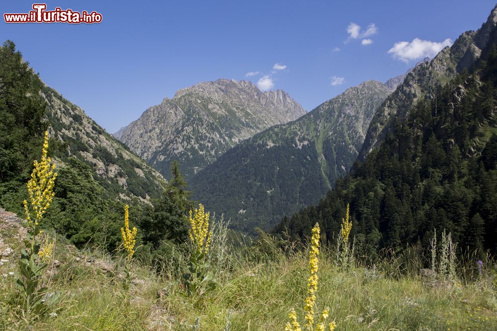 Le foto di cosa vedere e visitare a Entracque