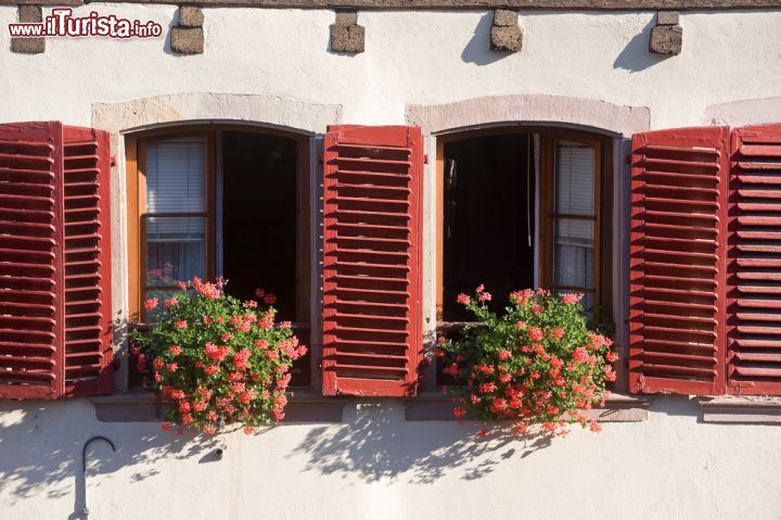Immagine Il particolare di due finestre con gerani nel borgo di Barr in Francia - © Claudio Giovanni Colombo / Shutterstock.com