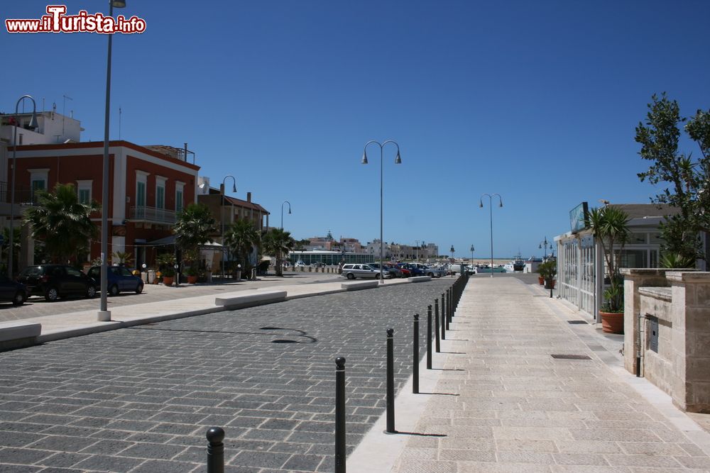 Immagine Una via del centro di Savelletri in Puglia