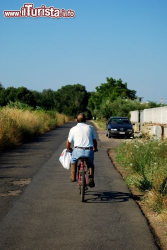 Immagine Le campagne intorno a Velletri nel Lazio - © Franco Volpato/ Shutterstock.com