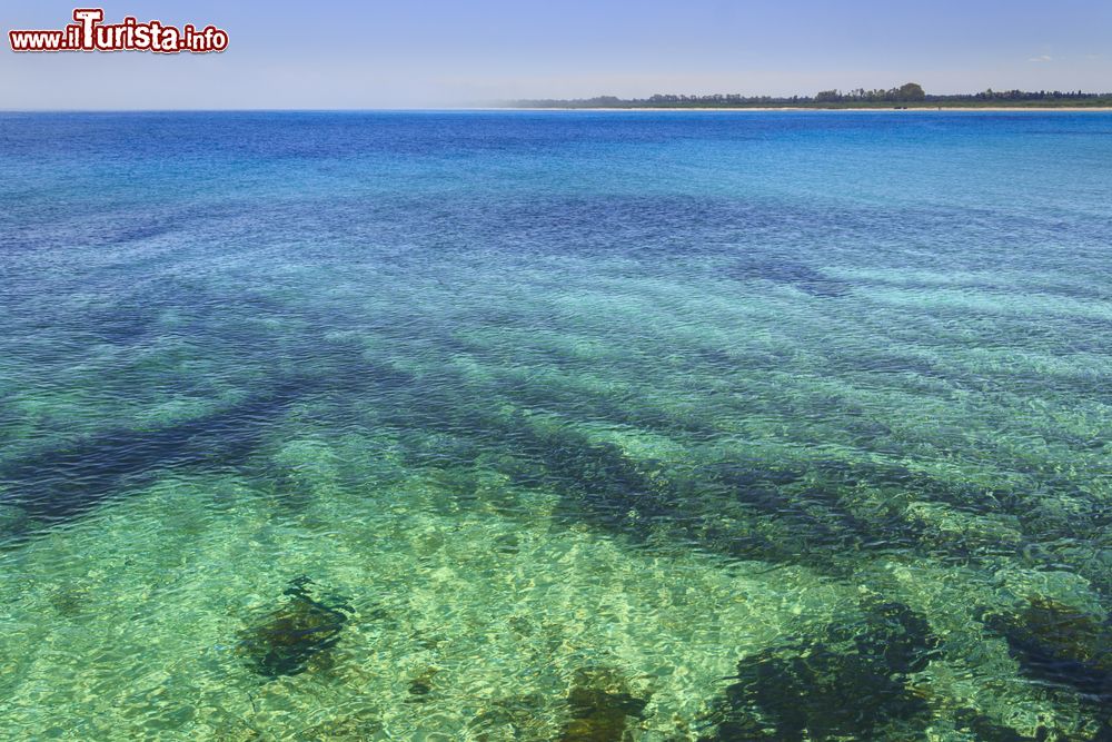 Immagine Summer seascape,Apulia coast: Nature Reserve of Torre Guaceto. Carovigno (Brindisi) -ITALY- Mediterranean maquis: a nature sanctuary between the land and the sea.