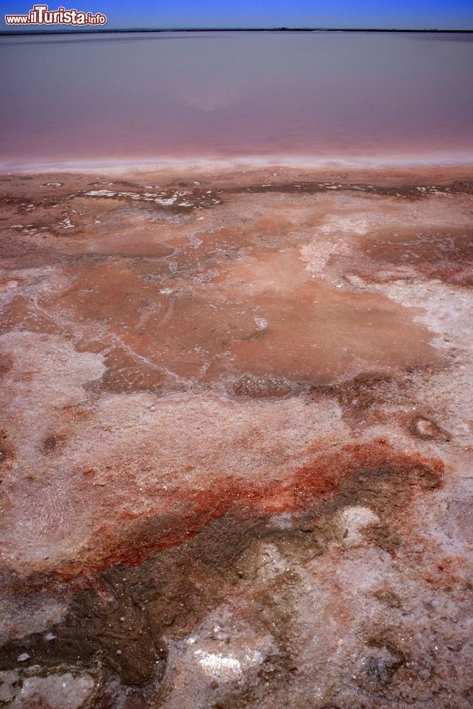 Immagine Il dettaglio dei sali colorati nelle Saline di Margherita di Savoia in Puglia