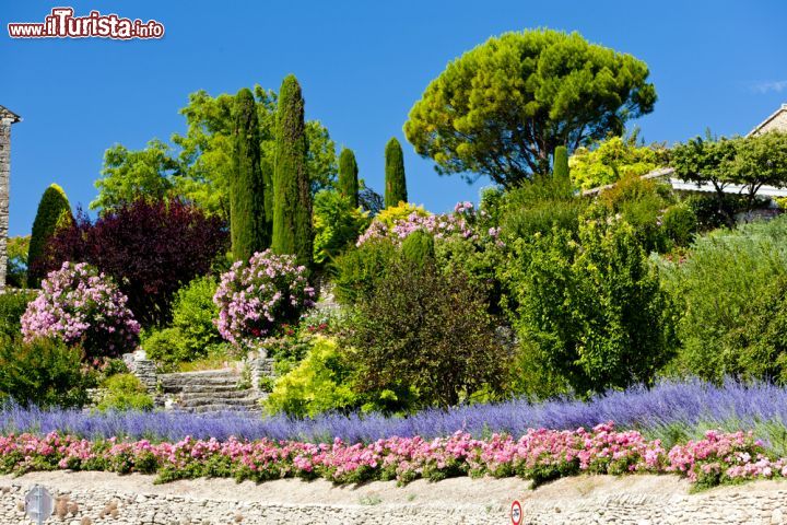Immagine Giardini nella cittadina di Gordes, Francia - Durante i mesi primaverili e estivi Gordes si colora di mille sfumature grazie ai giardini che impreziosiscono il villaggio © PHB.cz (Richard Semik) / Shutterstock.com