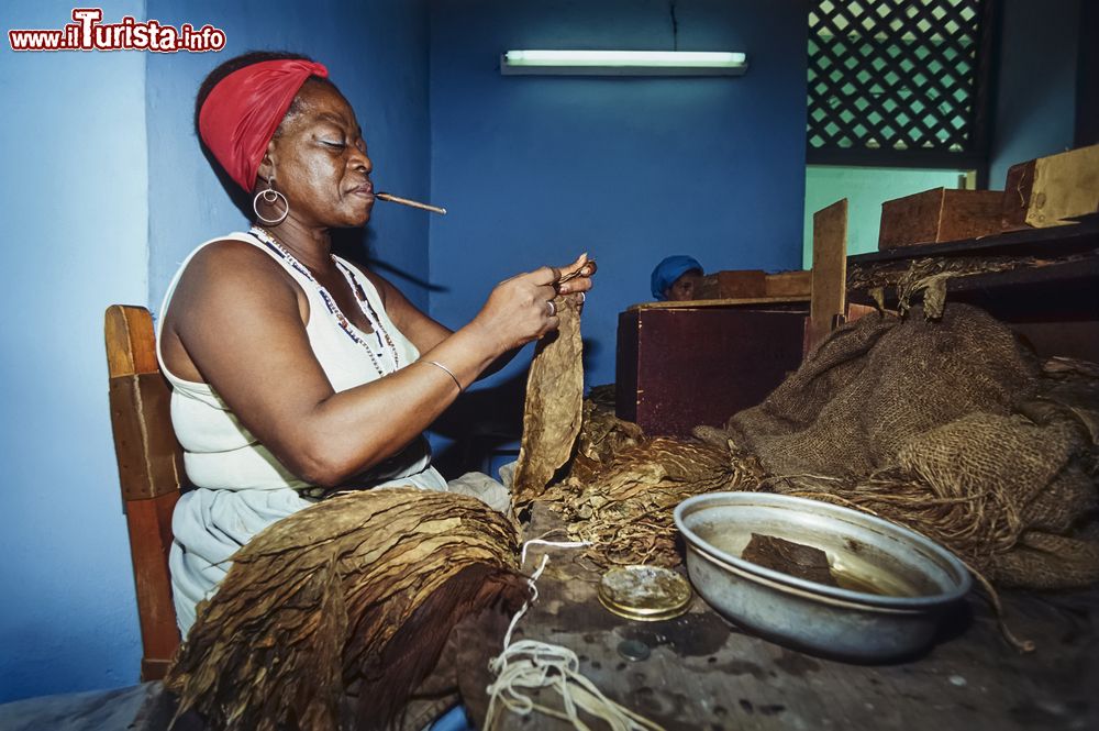 Immagine Pinar del Rio, Cuba: una torcedora intenta ad arrotolare le foglie di tabacco per produrre sigari. I migliori sigari cubani - e del mondo - vengono prodotti nella provincia di Pinar del Rio - foto © FILM SCAN / Shutterstock.com