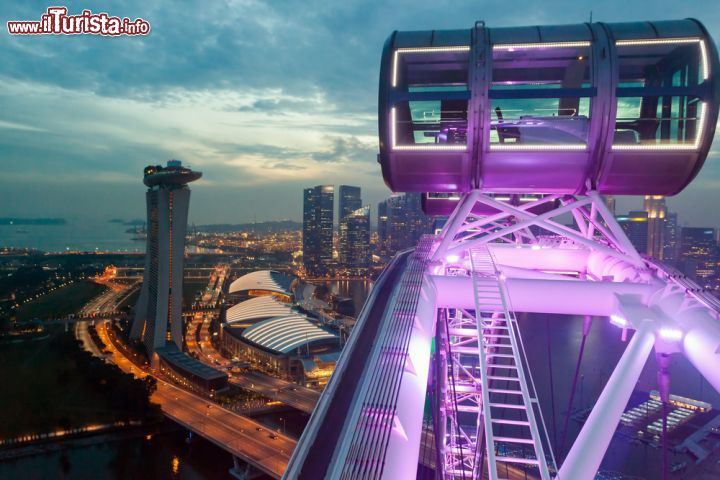 Immagine Singapore Flyer: panorama serale della città dalla ruota panoramica entrata in funzione nel febbraio 2008. Sino al 2013, quando è stata superata da quella di Las Vegas, è stata la più alta al mondo - © Pavel Ilyukhin / Shutterstock.com