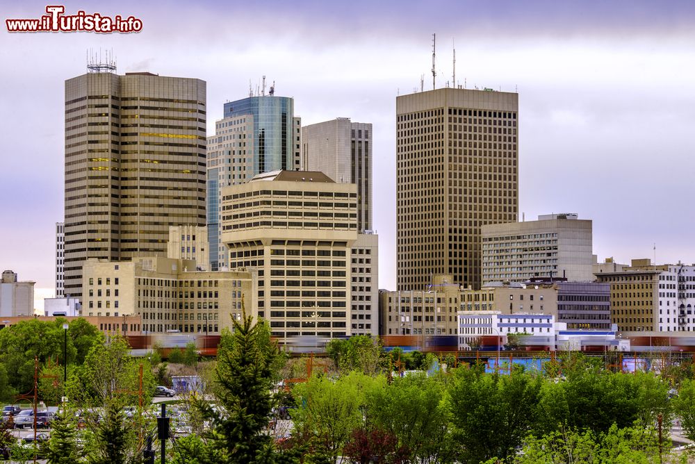 Immagine Skyline della città di Winnipeg, capitale dello stato del Manitoba (Canada).