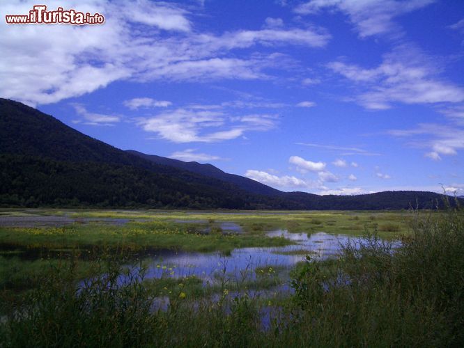 Immagine Il lago effimero di Cerknica (Circonio), Slovenia - Una bella vegetazione rigogliosa circonda il lago temporaneo di questo angolo di Slovenia