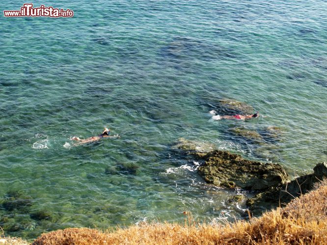 Immagine Snorkelers nel mare che circonda l'isola di Anafi, Grecia. Non mancano belle spiagge affacciate su acque calme e limpide, ideali per gli sport acquatici - © Kostas Koutsaftikis / Shutterstock.com