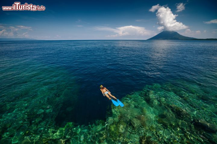 Immagine Lo snorkeling nelle acque dell'isola di Bunaken è sicuramente l'attività principale di molti turisti che scelgono l'escursione su quest'isola del Sulawesi Settentrionale, Indonesia - foto © Dudarev Mikhail / Shutterstock.com