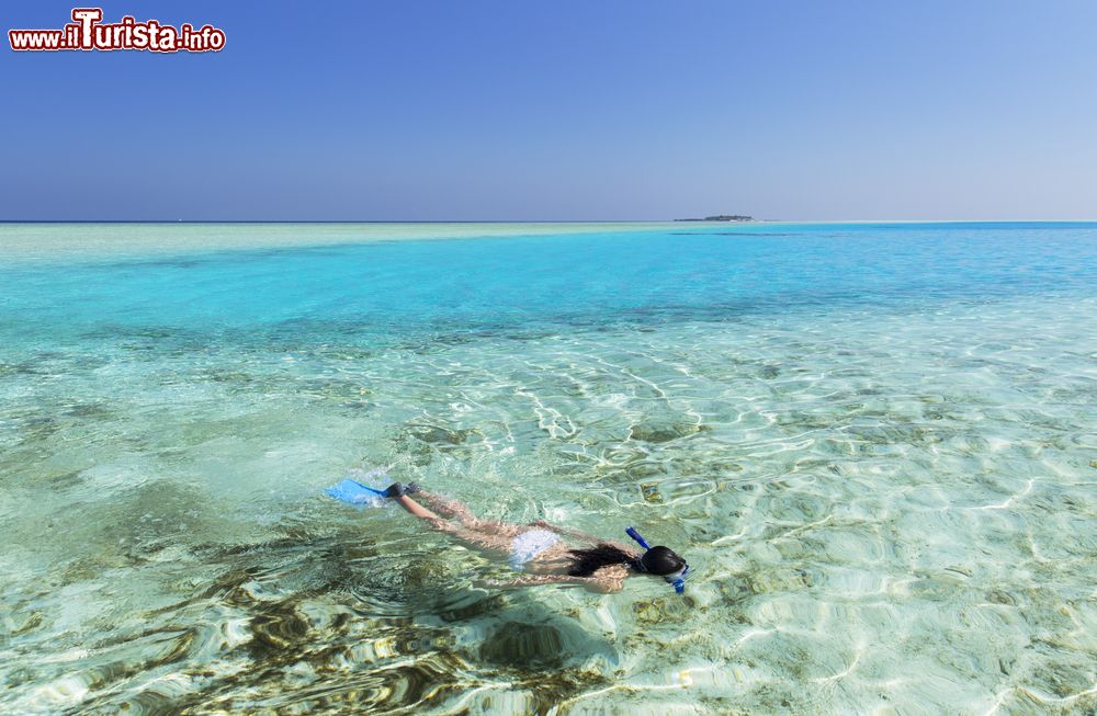 Immagine Snorkeling nella laguna di Rasdhoo Island,il mare limpido delle Maldive