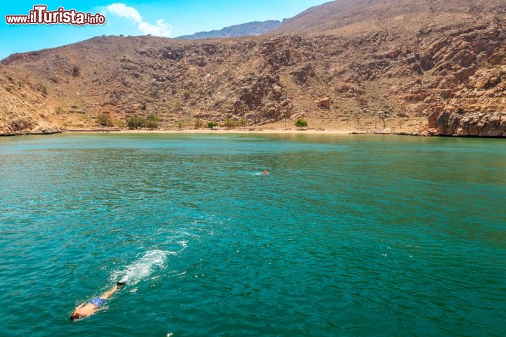 Immagine Snorkeling in Oman: il mare trasparente di Musandam è così limpido anche grazie al clima desertico e le scarse precipitazioni, e senza fiumi da grande portate le acque rimangono sempre cristalline - © Yasser El Dershaby / Shutterstock.com