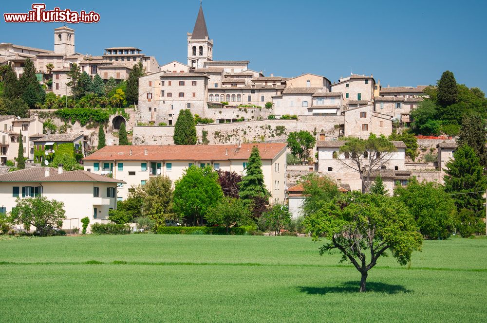 Immagine Il borgo di Spello nella stagione estiva, Umbria.