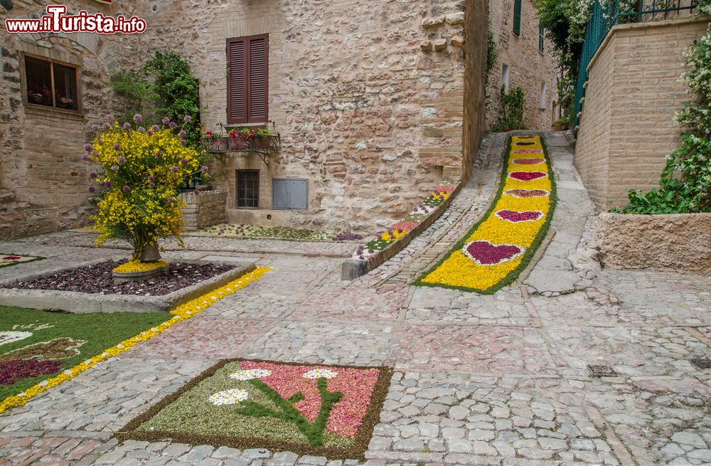 Immagine Spello, la festa del Corpus Domini: le strade del borgo umbro si colorano con una serie di veri e propri quadri floreali e profumatissimi tappeti di petali di fiori, grazie alla famosa Infiorata di Spello