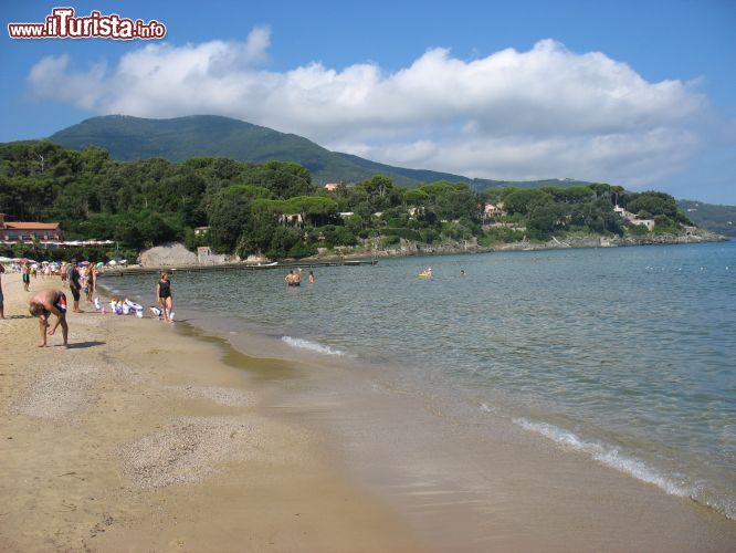 Immagine La spiaggia di Procchio, provincia di Livorno, isola d'Elba (Toscana). Questo piccolo nucleo abitato è una delle località balneari più frequentate dell'isola toscana.