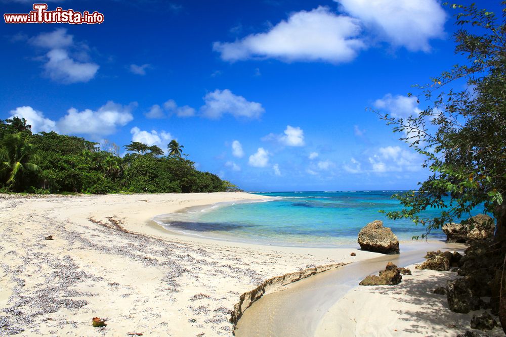 Immagine La siaggia di Maguana, nel Parque Nacional Alejandro de Humboldt. Provincia di Guantànamo, Cuba.