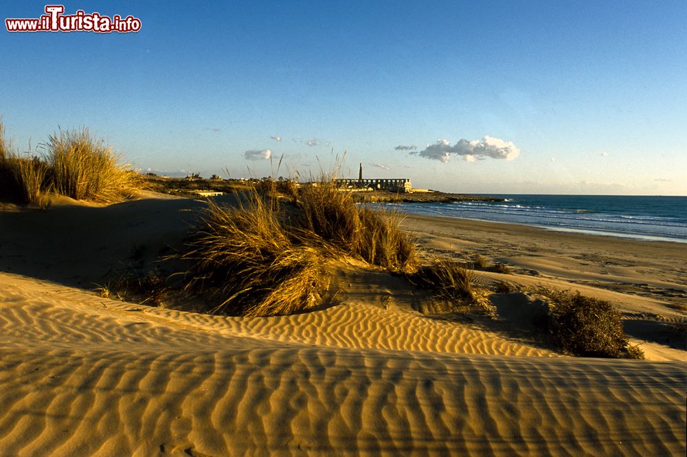 Immagine Spiaggia a Scicli: la costa sabbiosa della Sicilia sud-occidentale