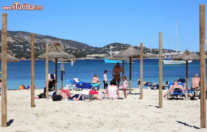 Immagine Spiaggia attrezzata a Magaluf, Spagna © tviolet / Shutterstock.com