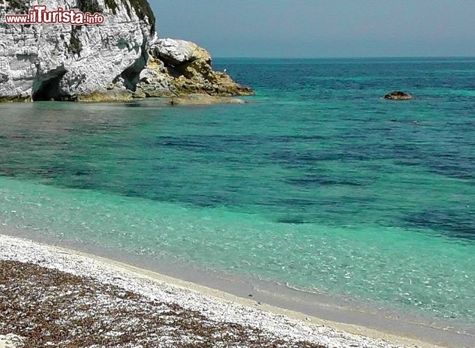 Immagine La spiaggia bianca di Padulella, isola d'Elba. Siamo nella costa nord di Portoferraio: questa bella spiaggia, fra le più amate dagli abitanti dell'isola e dai turisti, si trova a est della Punta di Capo Bianco che la protegge dai venti occidentali. Lunga circa 170 metri, è formata da piccoli ciottoli bianchi levigati.