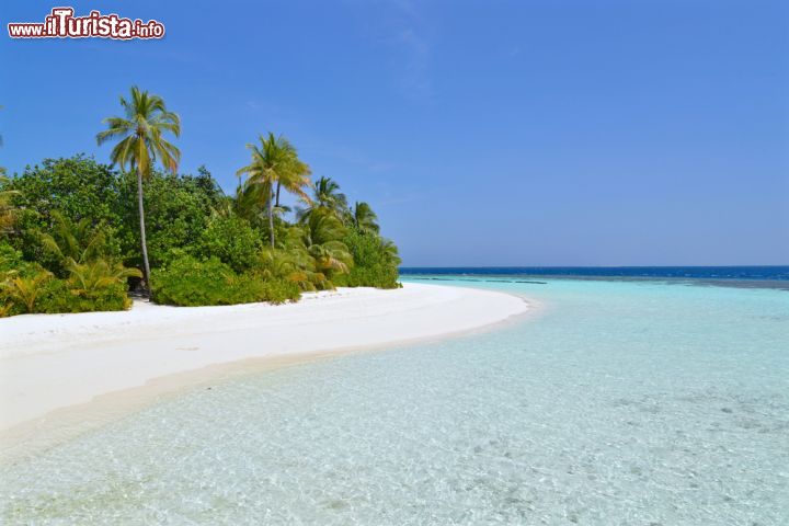 Immagine Una spiaggia incontaminata con sabbia bianca e lambita da acqua cristallina su un'isola delle Maldive, nell'Oceano Indiano - foto © Niradj / Shutterstock.com