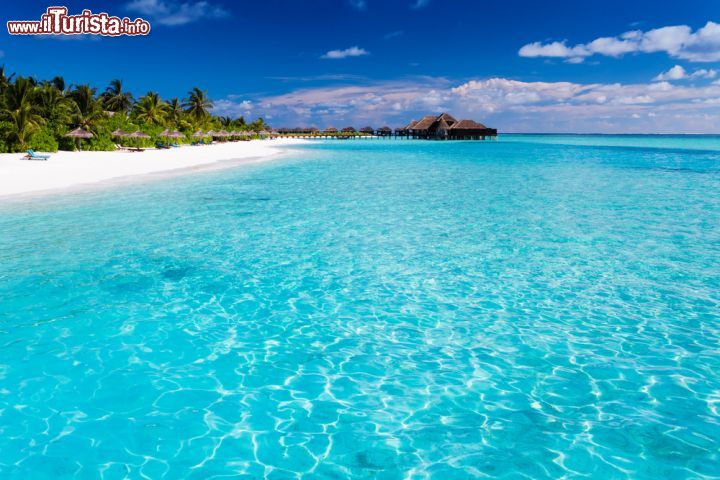 Immagine Acqua azzurra, spiaggia di sabbia bianca, palme e capanne costruite sull'acqua: questi sono i principali ingredienti di un viaggio alle Maldive - foto © Martin Valigursky / Shutterstock.com
