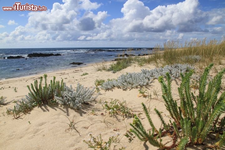 Immagine Spiaggia di Canto Marinho a Viana do Castelo, Portogallo del nord - © Francisco Caravana / Shutterstock.com