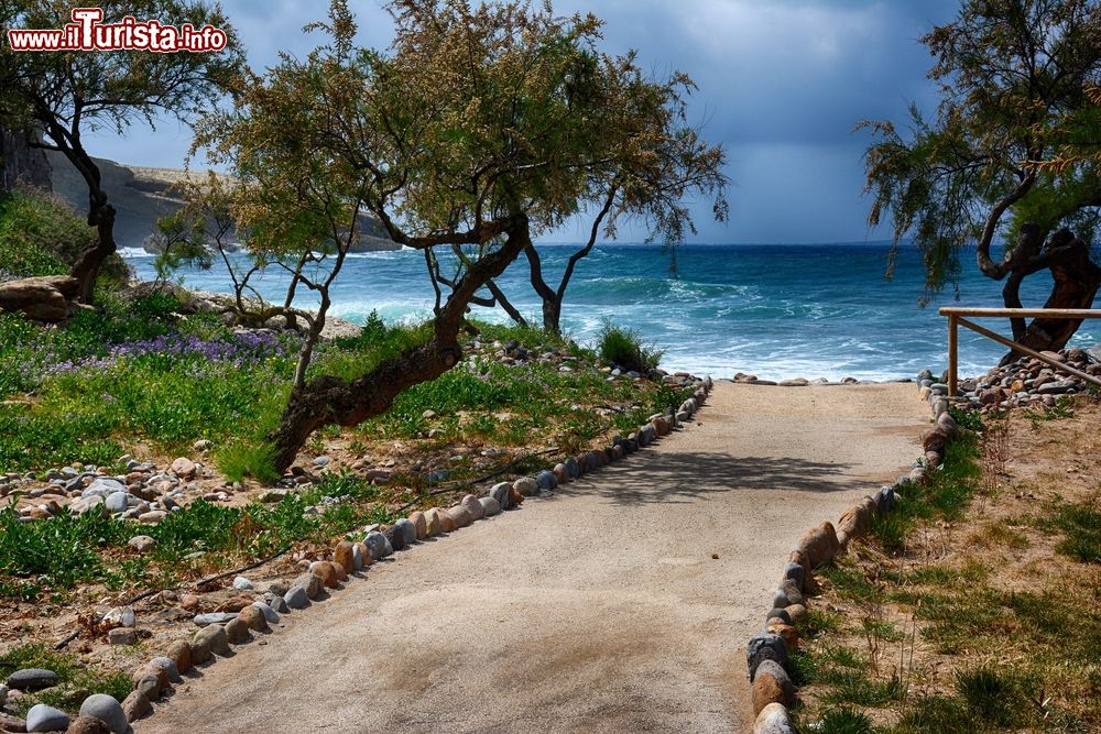 Immagine Spiaggia con alberi di ulivi a Santa Caterina di Pittinuri, costa ovest della Sardegna
