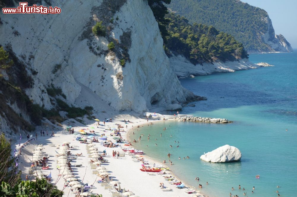 Immagine Spiaggia del frate numana