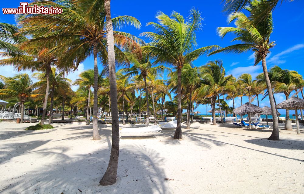 Immagine Spiaggia dell'hotel Melia a Cayo Guillermo, Cuba.