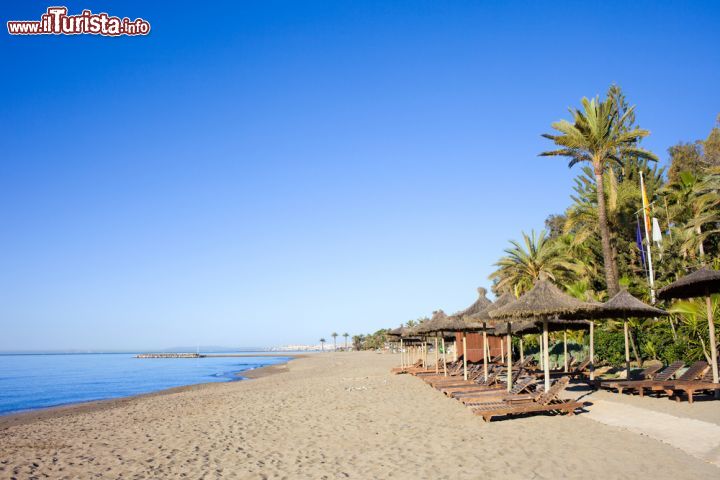 Immagine Sdraio sulla spiaggia di sabbia a Marbella, Spagna. Se siete amanti del mare non perdete l'occasione di trascorrere una vacanza in Costa del Sol a Marbella: qui troverete oltre 20 spiagge distese su quasi 30 chilometri di costa - © Artur Bogacki / Shutterstock.com