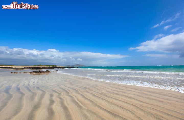 Immagine Spiaggia deserta alle Galapagos, Isla Isabela. La caratteristica forma di quest'isola è il risultato della fusione di sei grandi vulcani che si sono uniti fra di loro formando un'unica terra. Albemale, questo l'altro nome con cui è conosciuta l'isola dedicata alla regina Isabella di Castiglia, ospita non solo spiagge spettacolari ma anche pinguini, cormorani, sule, granchi, pellicani e tartarughe - © BlueOrange Studio / Shutterstock.com