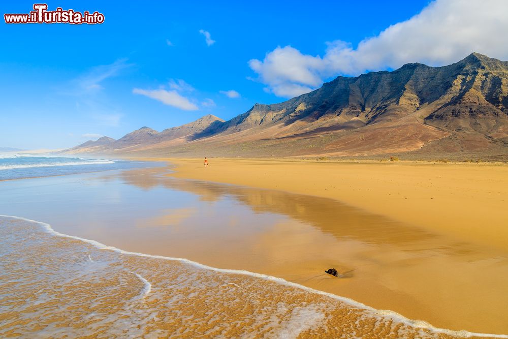 Immagine Spiaggia di Cofete a Fuerteventura, Isole Canarie, Spagna. E' una delle spiagge più selvagge di tutta l'isola, una delizia per gli appassionati di sabbia bianca, oceano irruento e libertà assoluta: 12 km di litorale sulla penisola settentrionale di Jandia, nel sud di Fuerteventura. Per visitare la spiaggia di Cofete è necessario una 4x4.