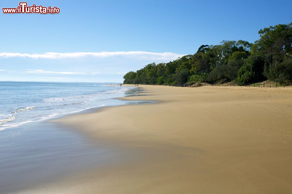 Immagine Una spiaggia di Hervey Bay, Australia. Questa graziosa città storica del Queensland vanta ben 14 km di spiagge dorate.