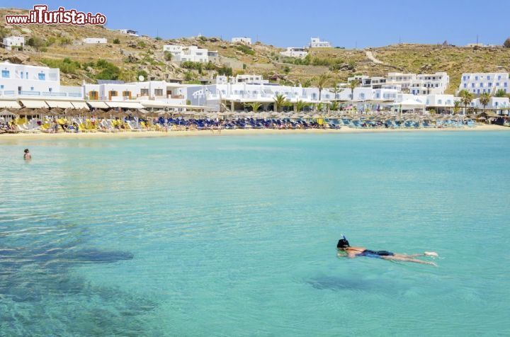 Immagine Spiaggia di Platis Gialos a Mykonos in Grecia, con le acque calme è ideale per le famiglie - © f8grapher / Shutterstock.com