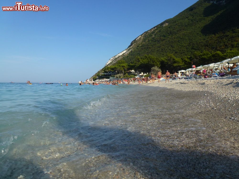 Immagine La spiaggia bianca di Portonovo