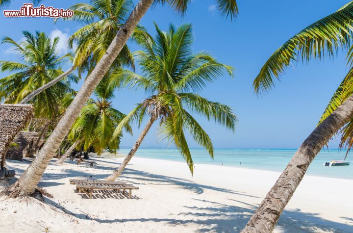 Immagine La spiaggia di sabbia bianca con le palme sull'isola di Nosy Iranja, nel Madagascar nord-occidentale - foto © lenisecalleja.photography / Shutterstock