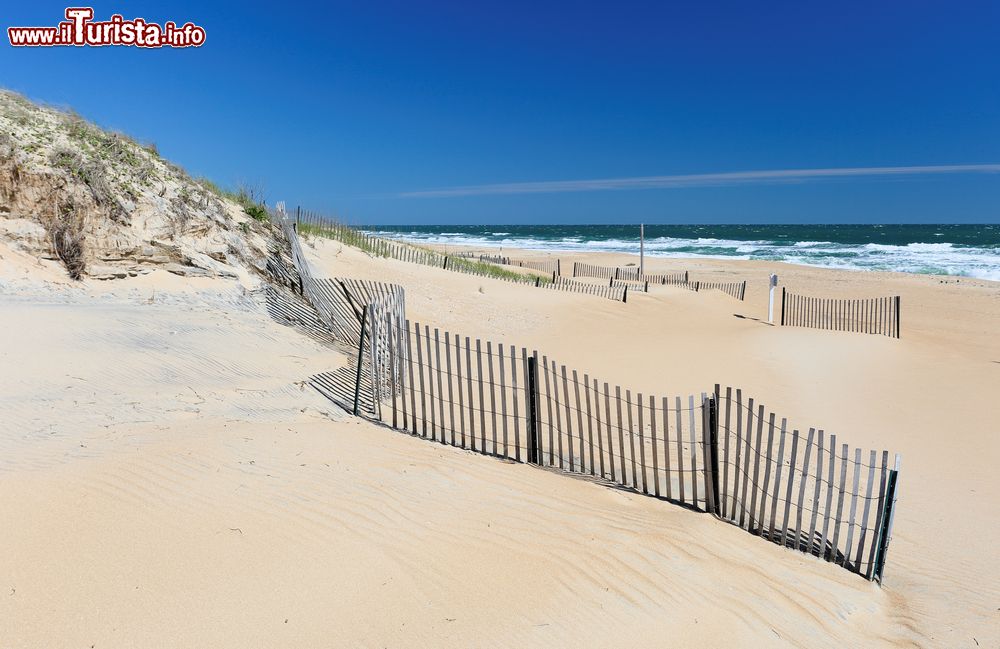 Immagine Spiaggia di sabbia di prima mattina a Virginia Beach, stato della Virginia (USA).