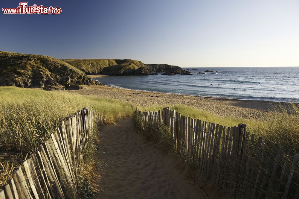 Immagine Una spiaggia di sabbia e vegetazione sulla costa bretone di Belle Ile en Mer, Francia.