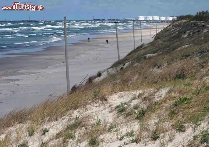 Immagine La spiaggia di Smiltyne  si trova non lontano da Klaipeda, in Lituania - © Hajotthu - CC BY-SA 3.0 - Wikipedia