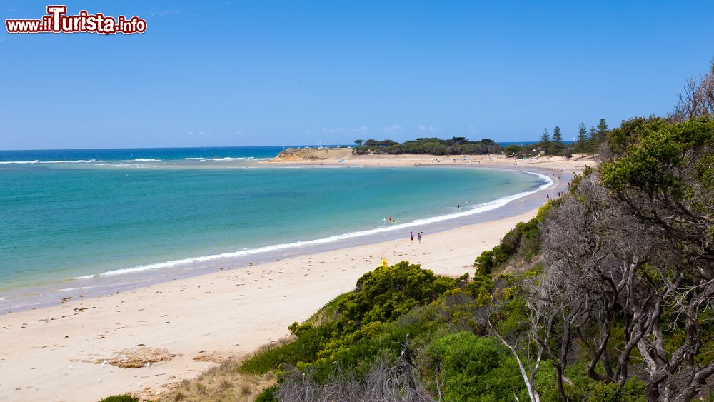 Immagine Spiaggia di Torquay, nel Victoria, Australia. Vegetazione rigogliosa, sabbia finissima e acqua cristallina caratterizzano questo affascinante territorio australiano.