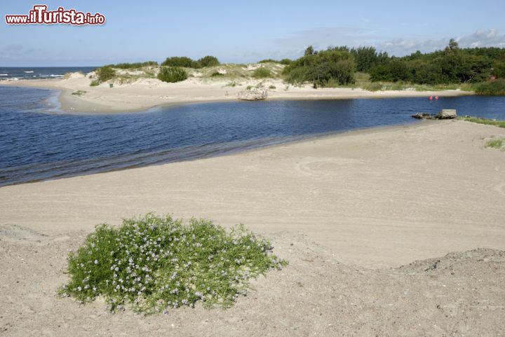 Immagine Spiaggia e foce fluviale a Sventoji in Lituania - © Bildagentur Zoonar GmbH / shutterstock.com