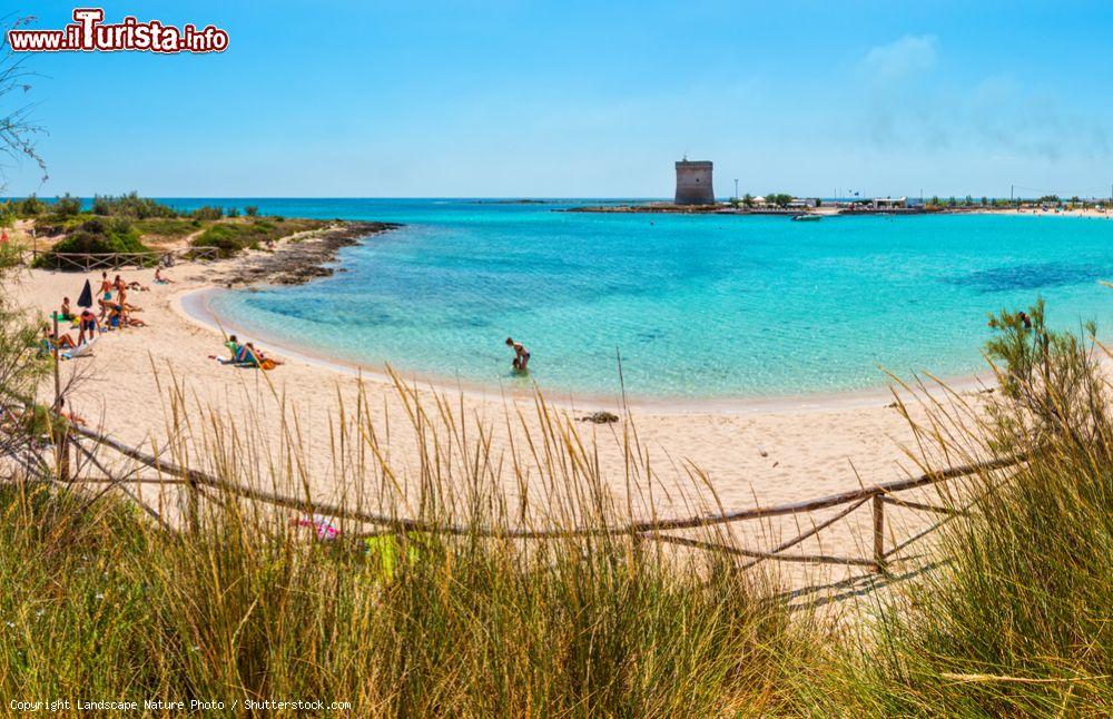 Immagine Spiaggia e fortificazione di Torre Chianca a Porto Cesareo, Salento, Puglia - © Landscape Nature Photo / Shutterstock.com