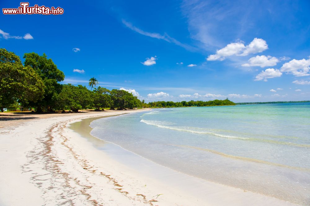 Immagine Spiaggia e mare a Playa Giron, Cuba. I colori di questi paesaggi sembrano usciti dalla tavolozza di un pittore.