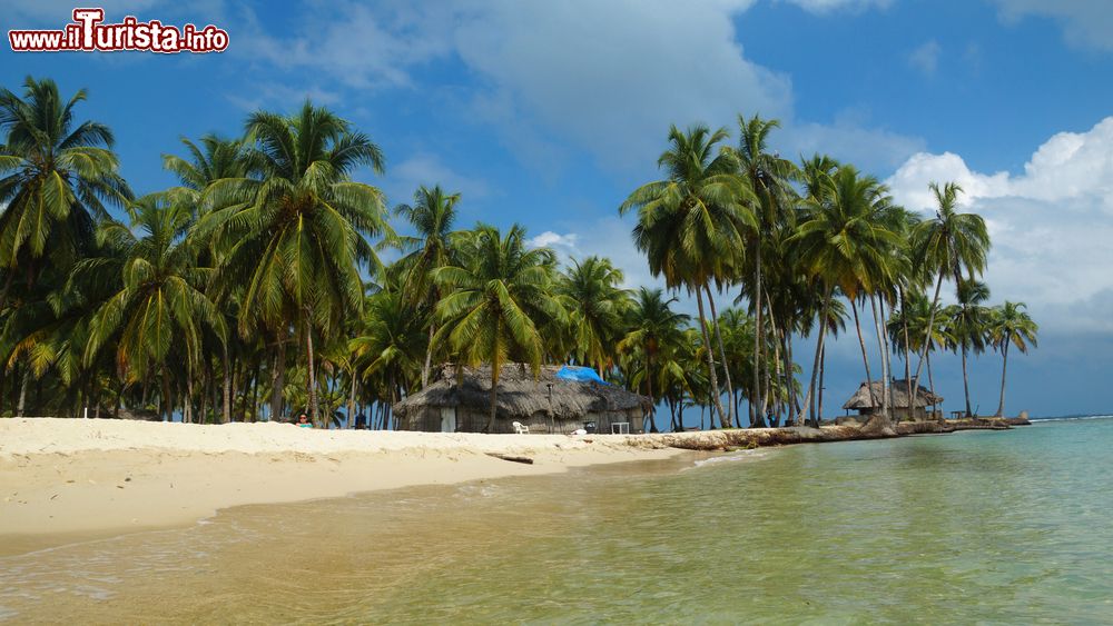 Immagine Spiaggia e mare con palme sullo sfondo nell'isola di Aguja, arcipelago Las Perlas, Panama. E' uno dei paradisi tropicali dei Caraibi.